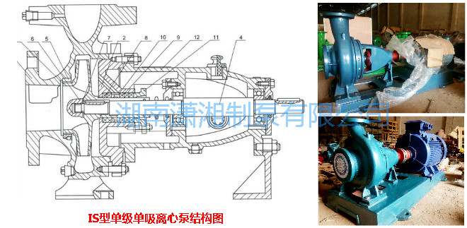 IS单级离心泵.png